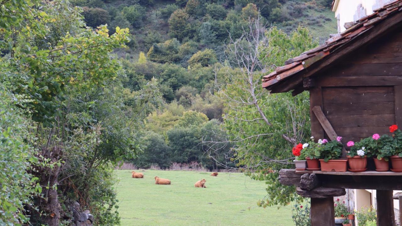 Casa Rural Cares Santa Maria de Valdeon Esterno foto